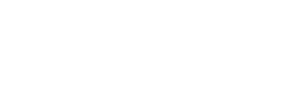 carregis_logo_primary_white@2x